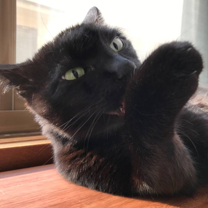 E3015323 481d 4b4c 80f6 fad440d446d9