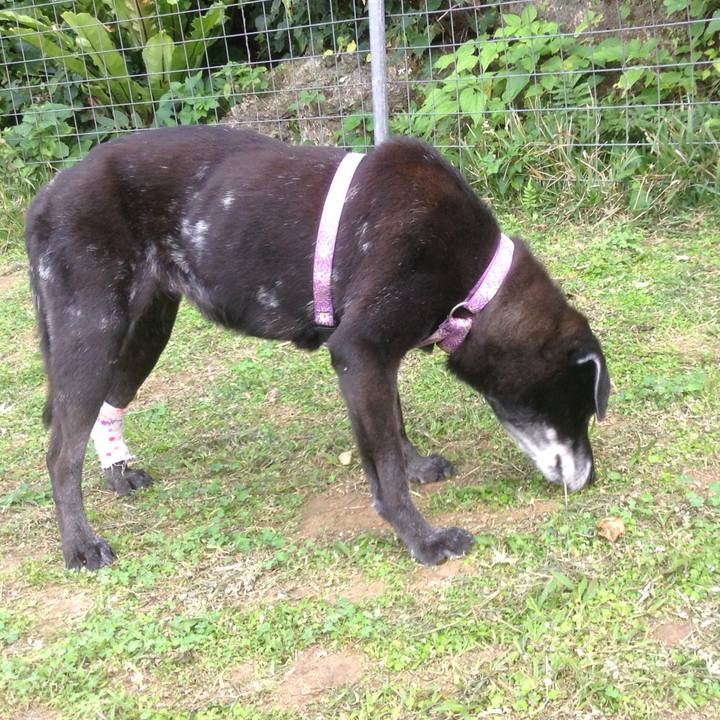 E301edf2 b8a5 48ed be24 5aa039071648