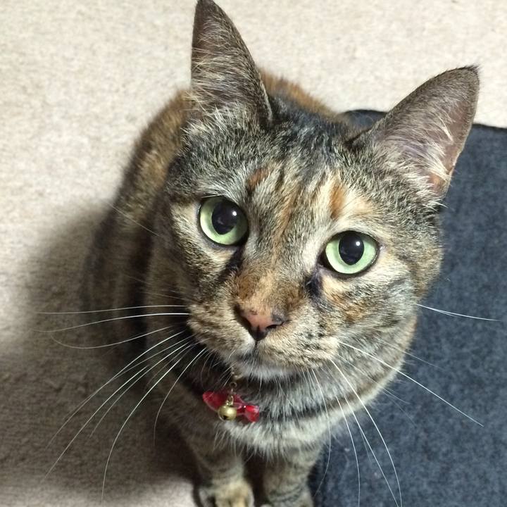 E3026a27 bb99 4d12 86ab 40a43a04af09