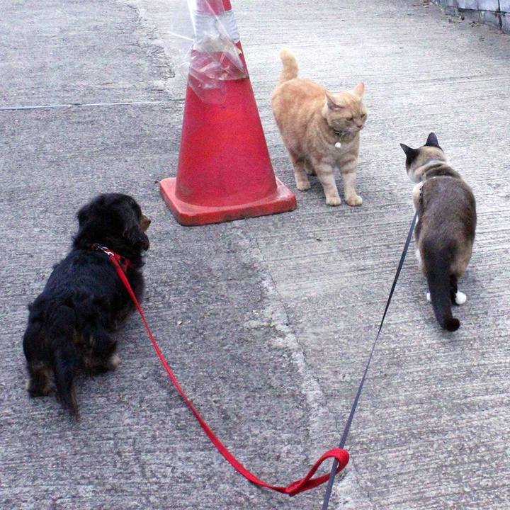 E302ba83 bd41 42d1 87f4 ec99feb587dd