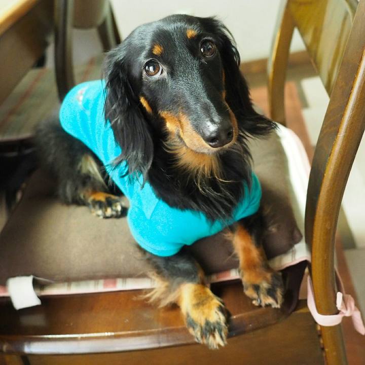 E30327ef f8d4 40fe 822a 87d48bf851b1