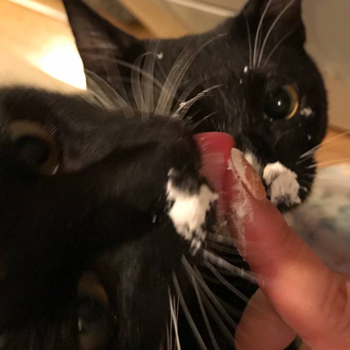 E303a5a9 0b94 4d29 8675 00ab1f17f477