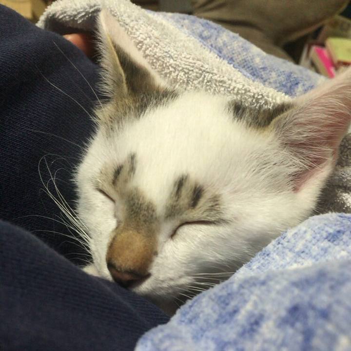 E303d15b 0e8d 4753 9bc2 acd67a0e602b