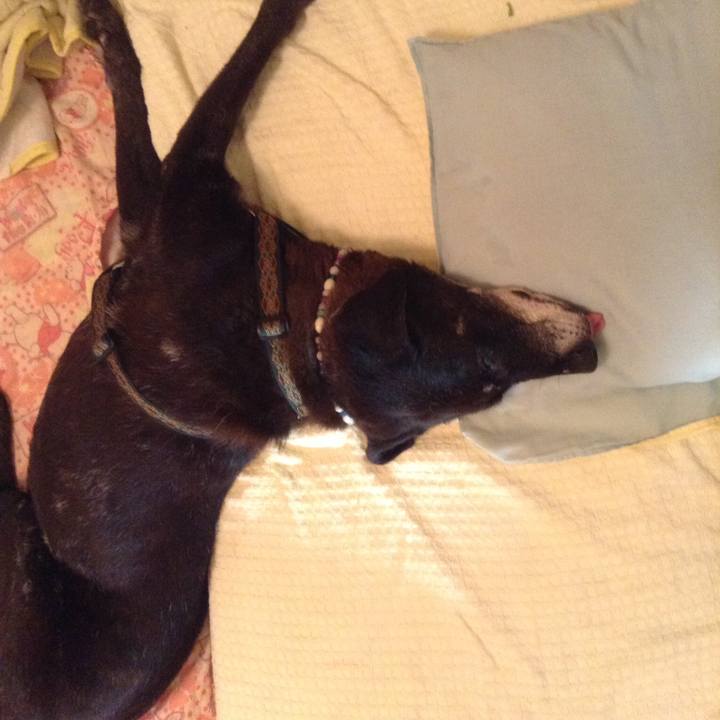 E303d3f0 ffc6 46eb b7e6 42df82528949