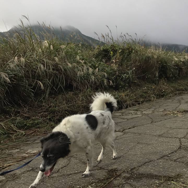 E3045d67 6732 4004 9b96 357799083178