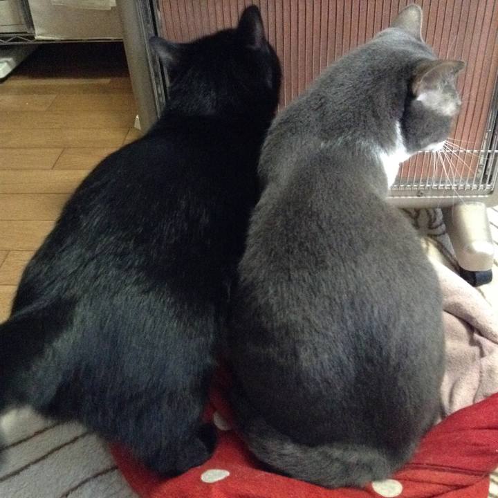 E3049540 70b2 4b44 9208 391d837a14b9