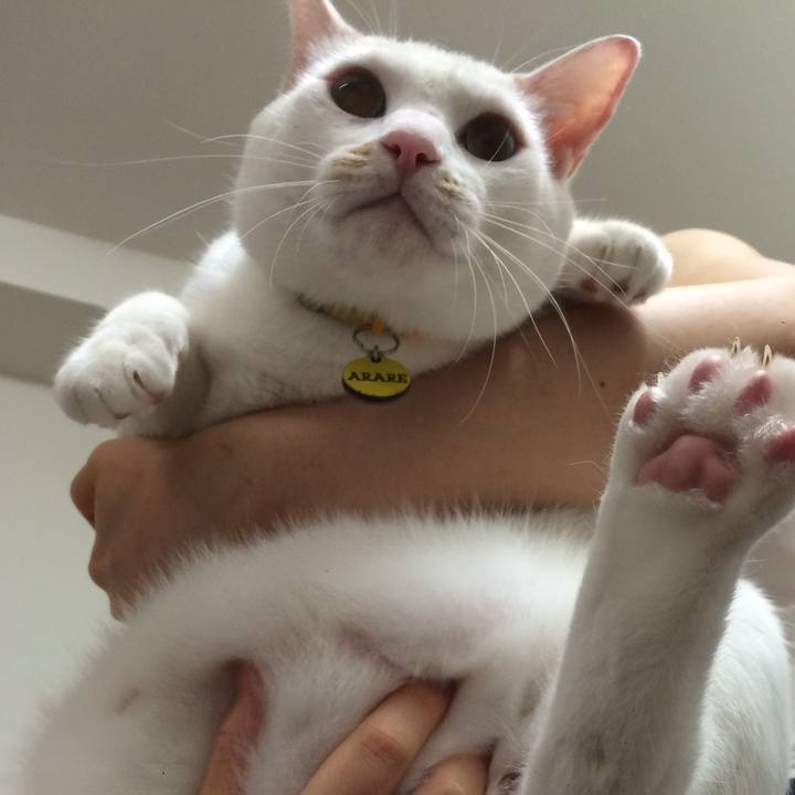 E304c5f5 f478 4d07 b38b 2a434201e23b