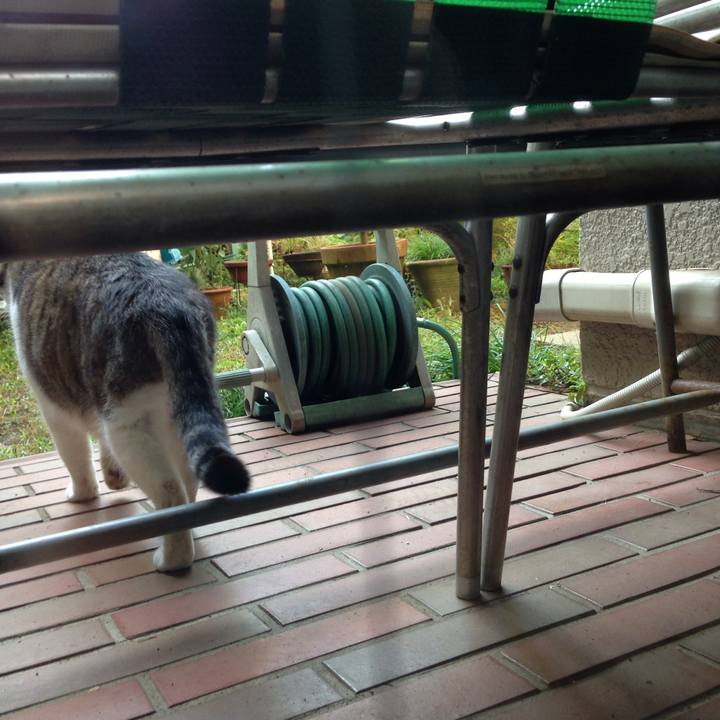 E304f364 6ccf 4ef0 a510 da0e834f5407