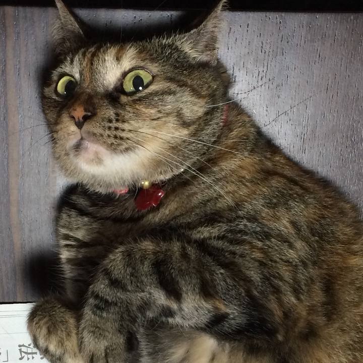 E3050fe5 0ff7 4560 8b2f b82da92bb138