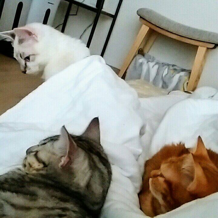 E3052d48 b69d 40f9 9e75 d5a8de7eaea1