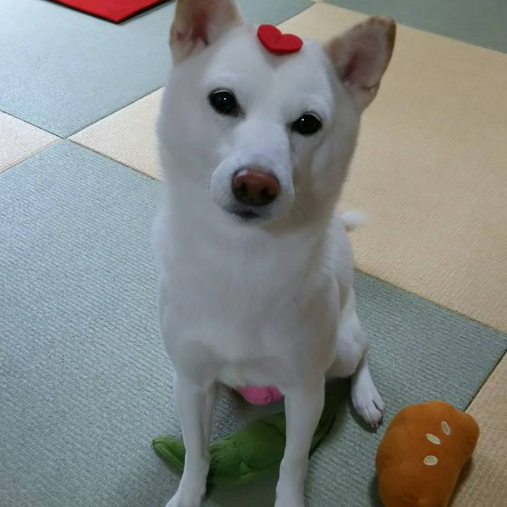 E3055264 dfab 437e b54c 58182a1d1f60