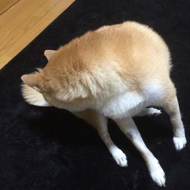 E30581b4 faae 4d0c 8ab6 5938b3e556fd