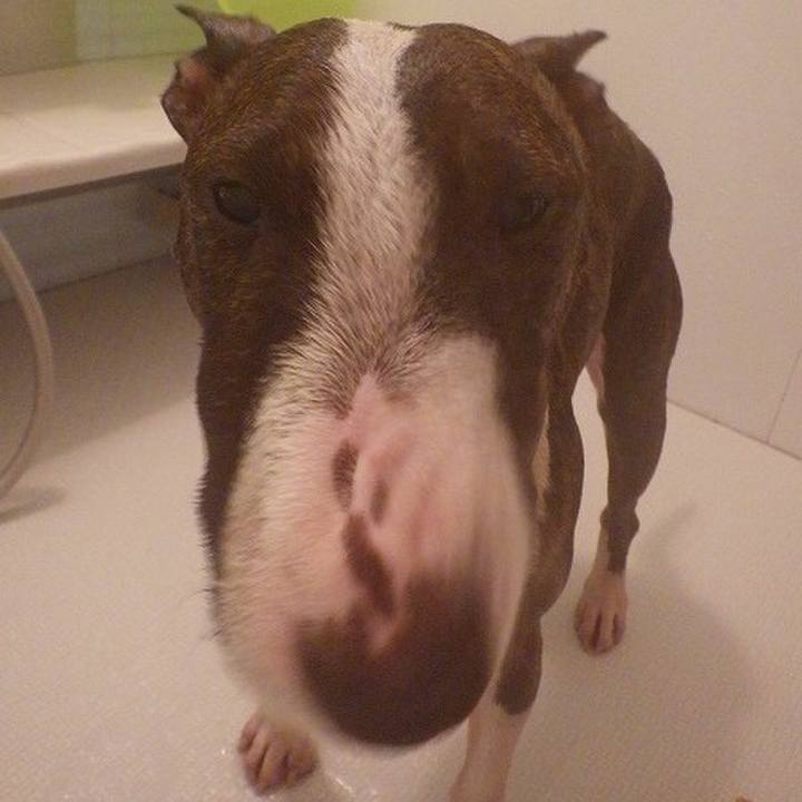 E305a183 347b 41c4 ad50 25b1f840995a