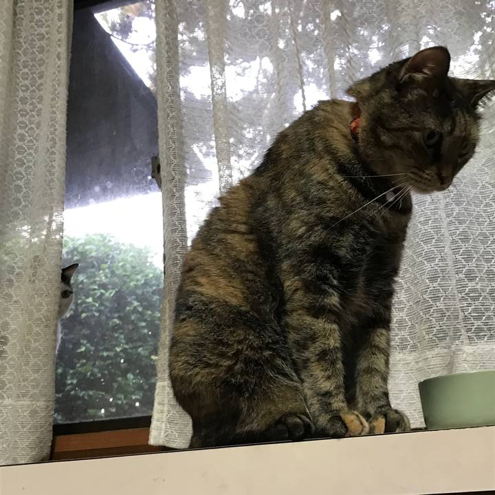 E305abc4 7665 462f 9848 64162bbac1e3