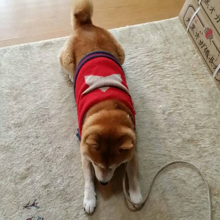 E305b357 a9b2 4f66 b1e0 db13344360f8