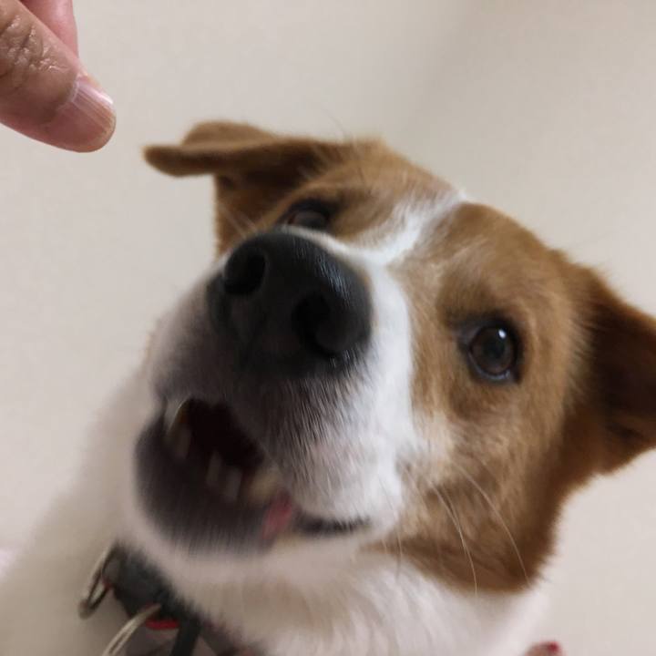 E306003f bce9 4751 981c 5c5fdc2cfd00