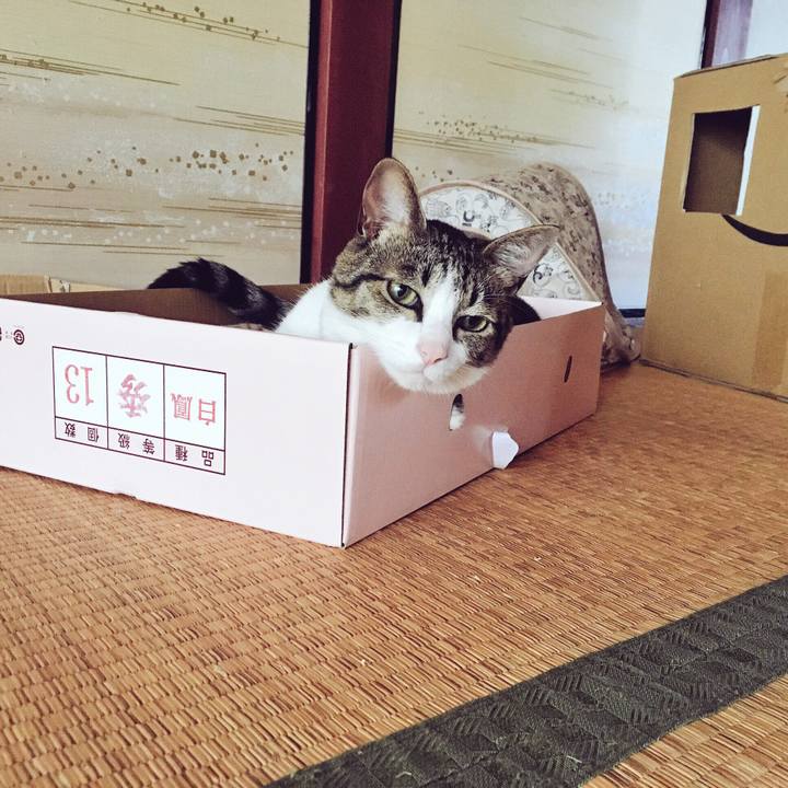 E3079608 1894 432f 887c 97ffe12d2518