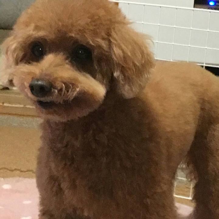 E307a634 cb9a 41a5 931c ef1617ee5e32