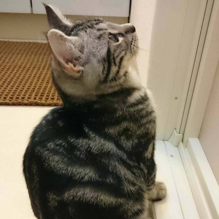 E308282f 123e 428f 851a f436ce651671