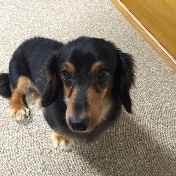 E30a7a41 c786 4cfd 93d6 4267f91e7d27