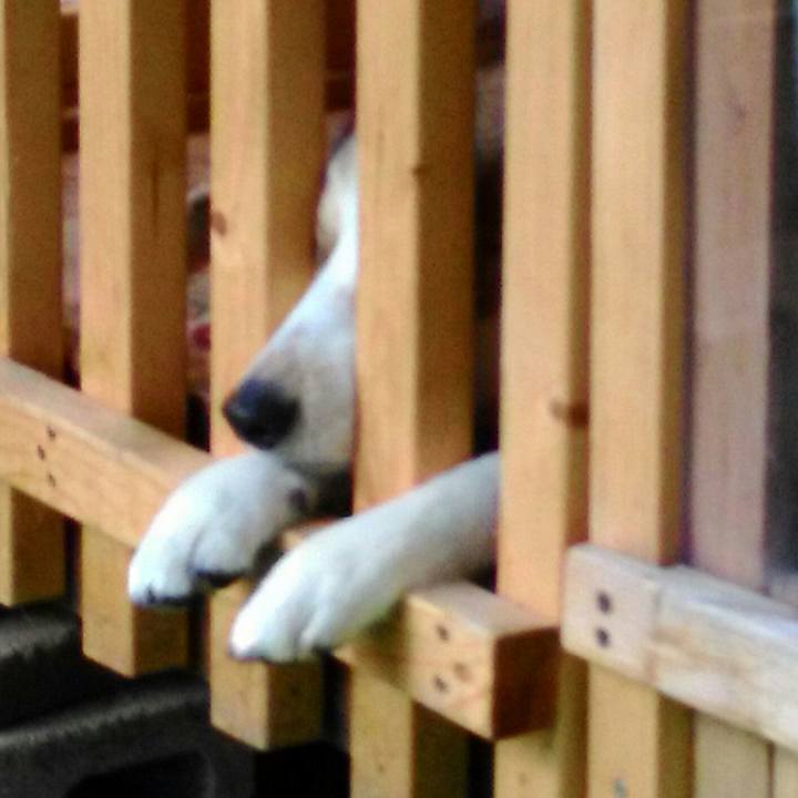 E30a7ca6 1011 4fb3 86b2 f6d15087f877