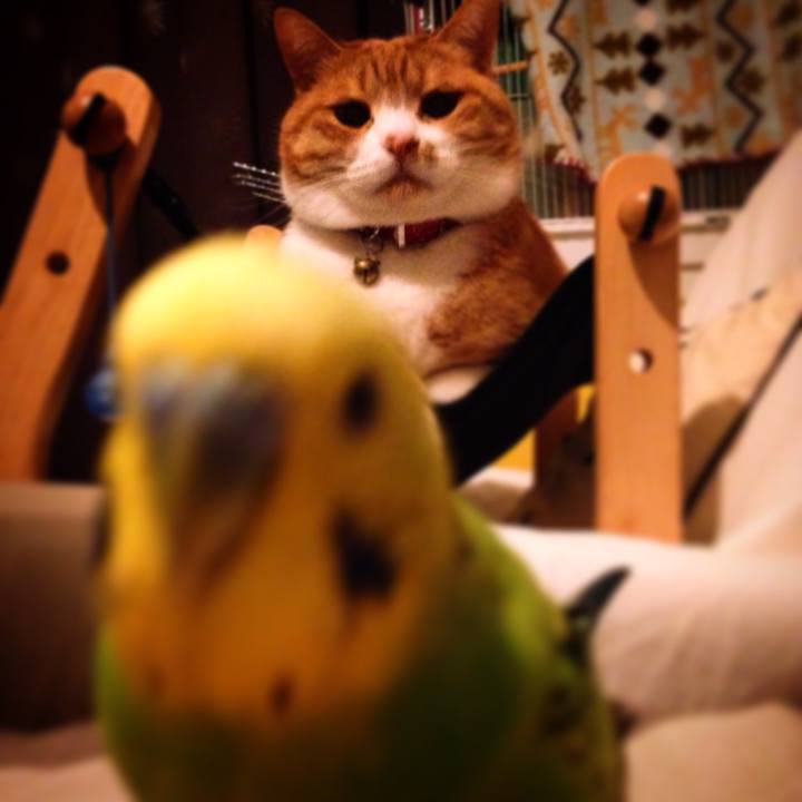 E30b0059 21fb 49a5 a664 2ca2511c736e