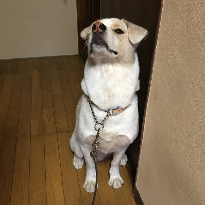 E30b0ac2 436c 466a a00f 99d928dd9f05