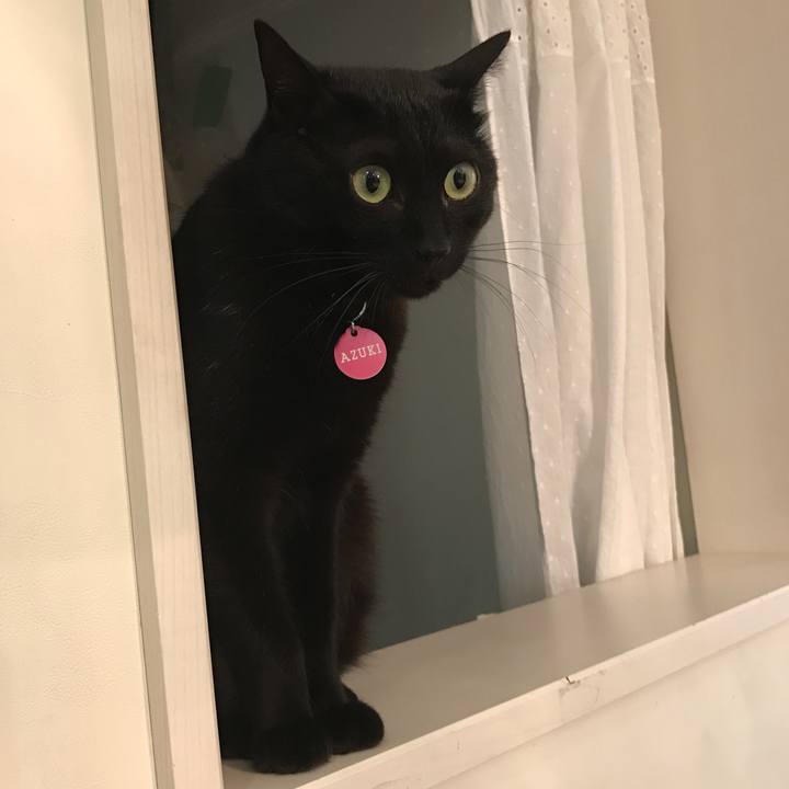 E30b61e8 0871 4c49 b21d 43b1081bebf5