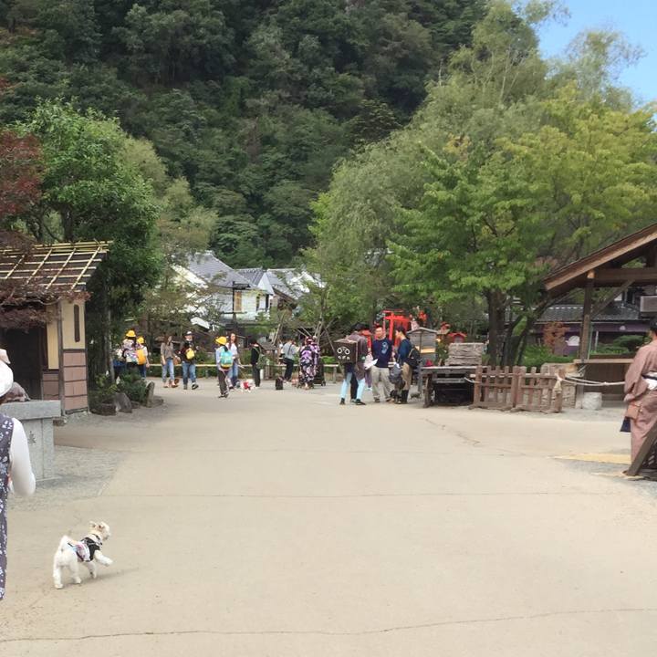 E30b7846 e95f 4d72 9fe9 2790ca0f520d