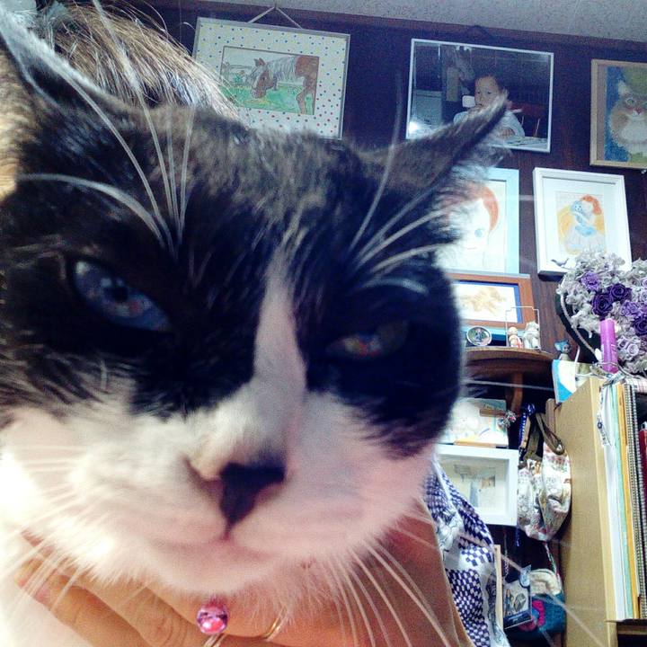 E30b8510 a6c5 4fa5 b96f bbd3274e4c35