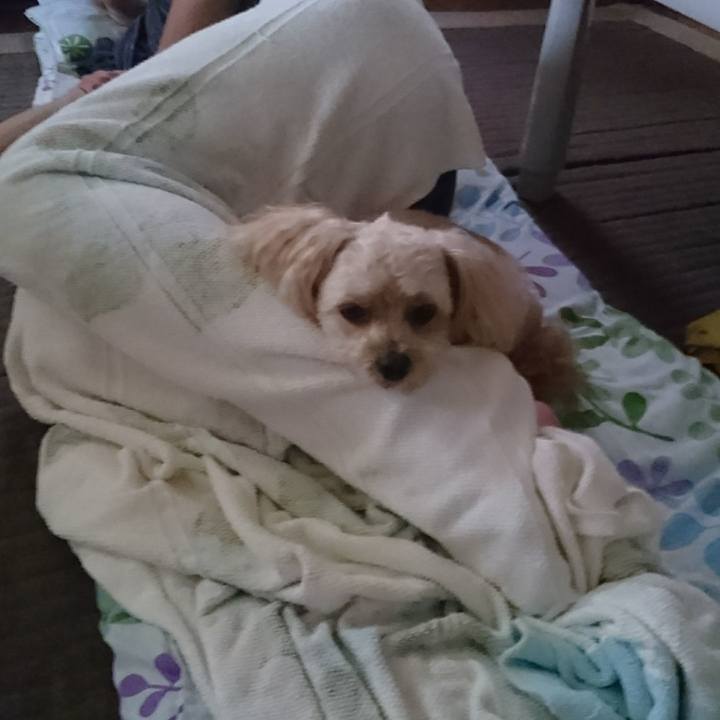 E30c2481 4f83 4c54 ae0a 022c88c27261