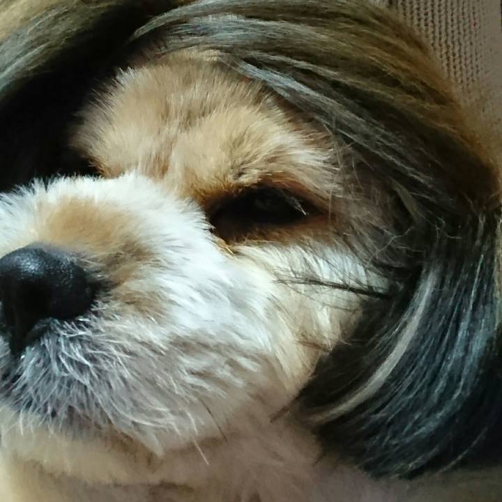 E30c3a58 6db1 4309 b0c4 a432b1a3f62e