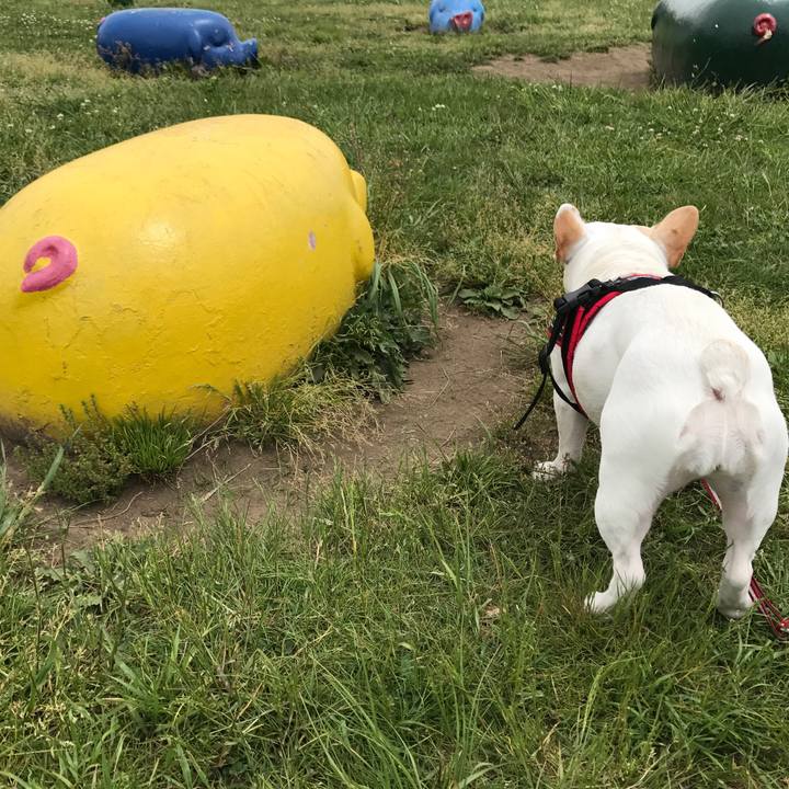 E30c4066 9a54 4a90 a5ac c3a8be086f3b