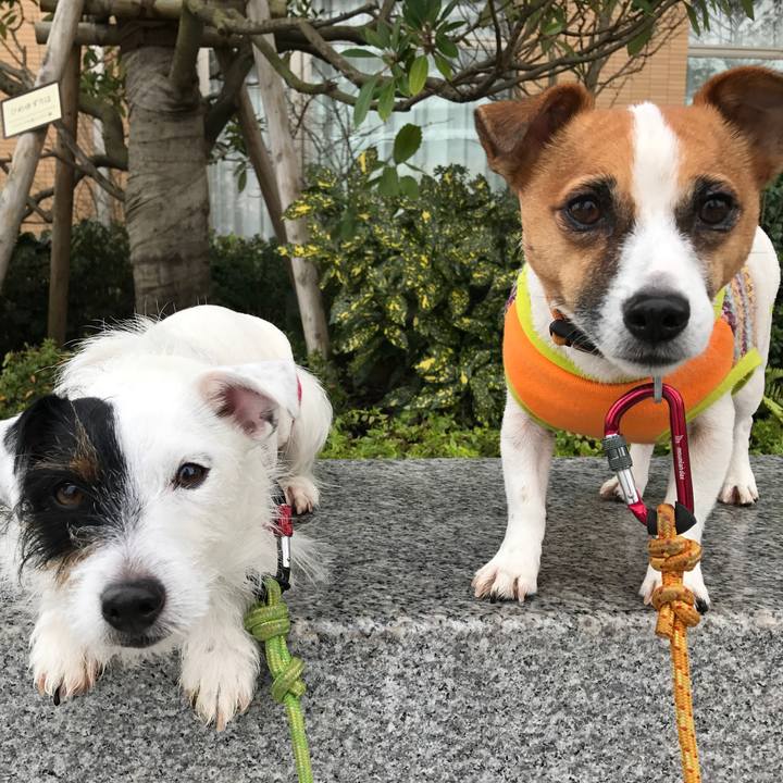 E30c5952 b3d3 4959 9d83 54daf90feeb9