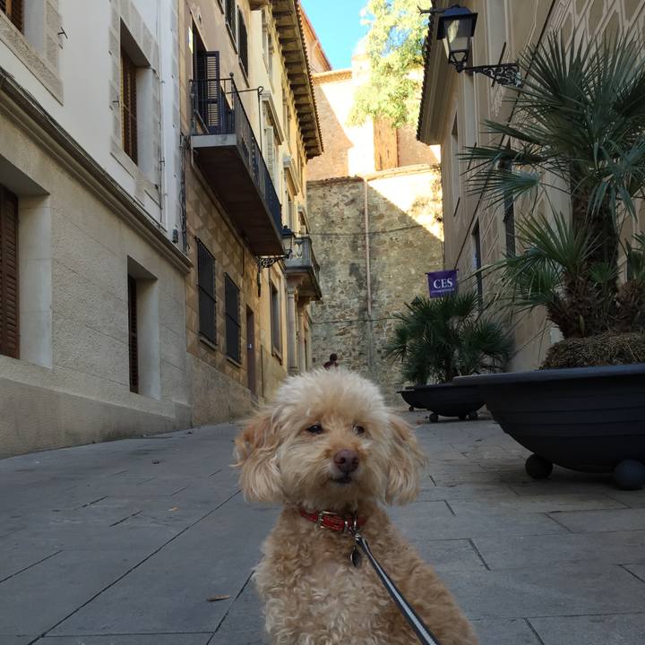 E30d5fdc cc08 461d 8df4 8ad5d62dd87e