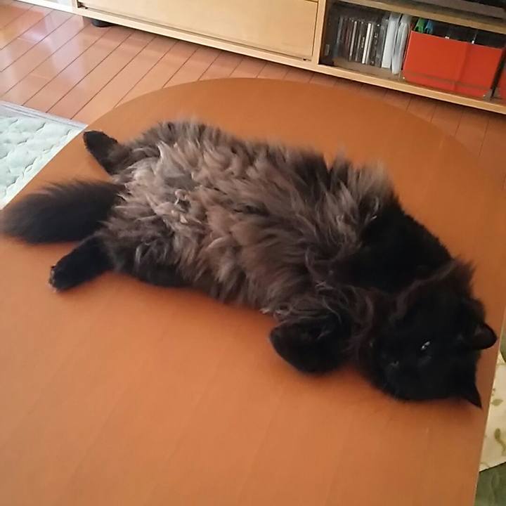 E30de509 2d47 4024 ad0c 9f98aaaff504