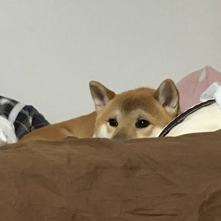 E30e1f4a 325f 42fc a3b0 9fd907de1572