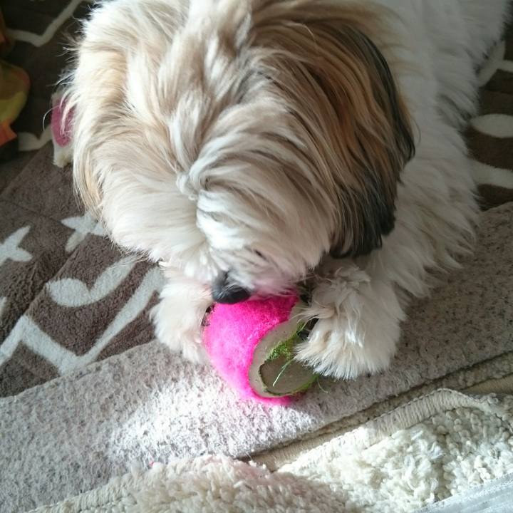 E30ea555 9227 49c5 a985 02f17ef09f0d