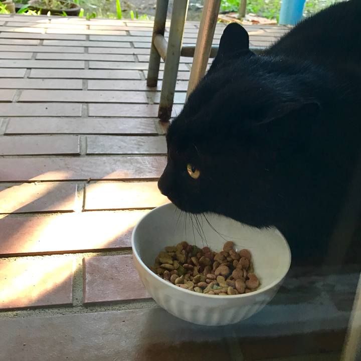 E30eacce 607e 4ae8 b169 e1dfbec19213