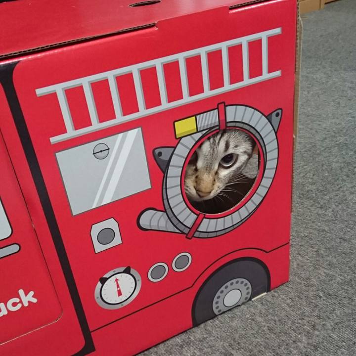 E30eeee1 73c8 4794 8b86 9d743d5ecf46