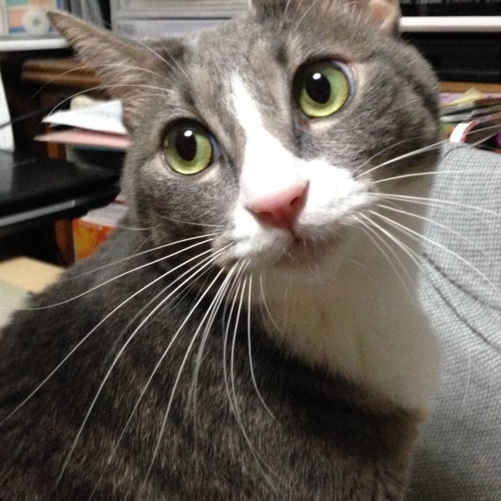 E30f1113 8b12 4afb a7e8 c59de9f5c166