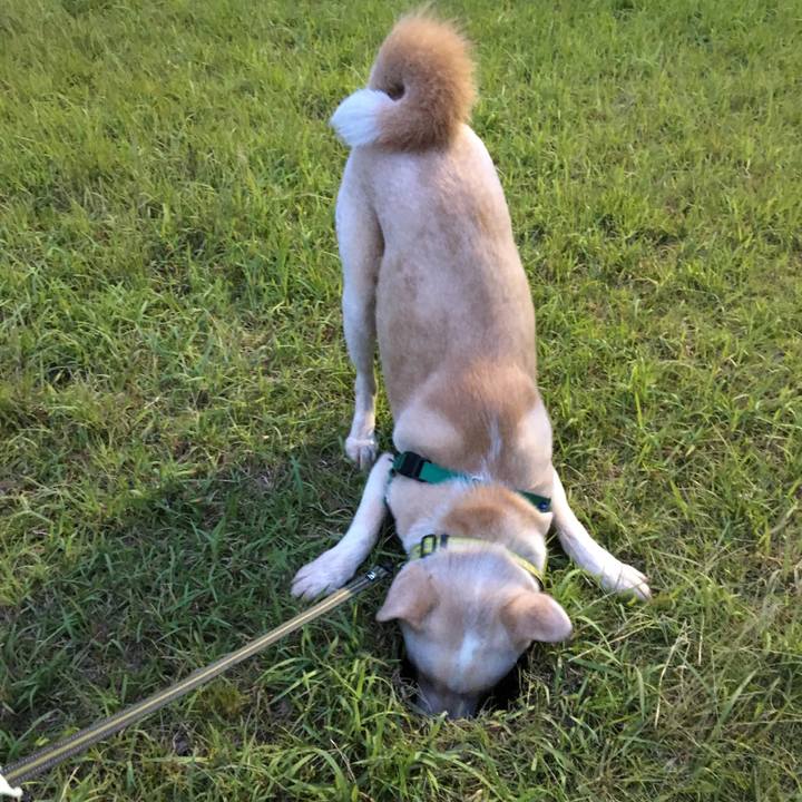 E30fe851 e403 49a8 b814 6c6ed8d7fb9c