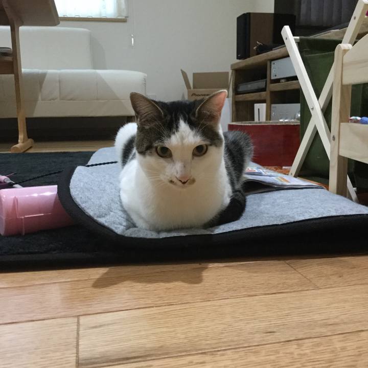 E31046bc eb0e 4e84 8981 e6431af74fb3