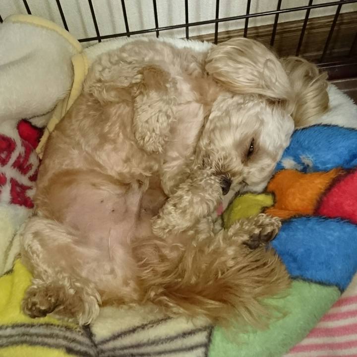 E3111e98 be1a 47b5 bfc8 018778dcfa55