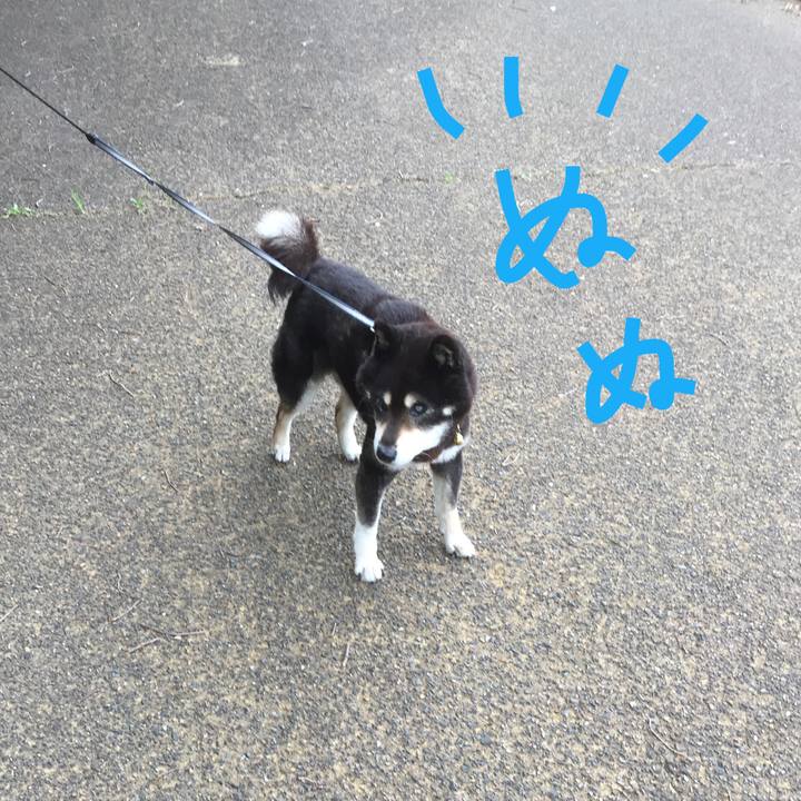 E3116df4 375b 49c4 9d63 a6c60fd68e8d