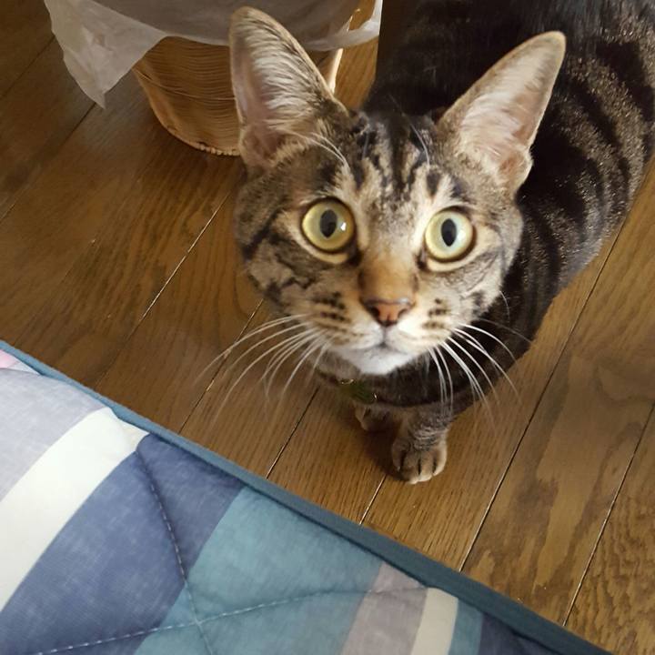 E3118c62 039e 4a61 aad9 2aa951b134dc