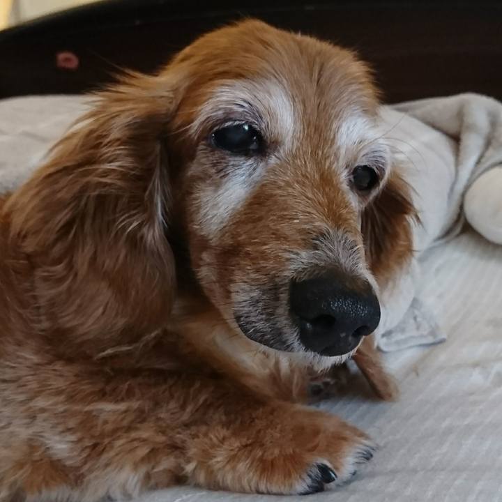 E3119823 180a 454f b2a3 f8bda9b7a588