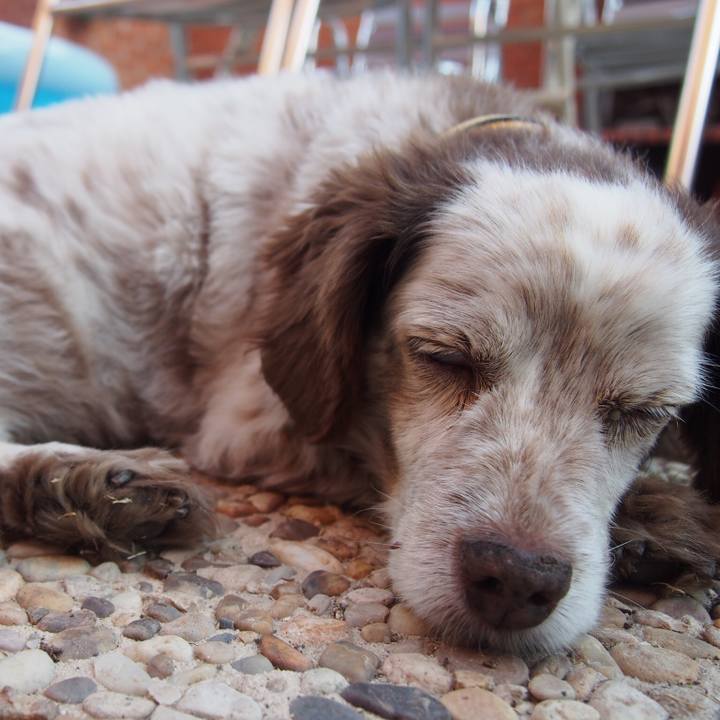 E312fc2c eef9 44d0 b743 0b2d14167b5b