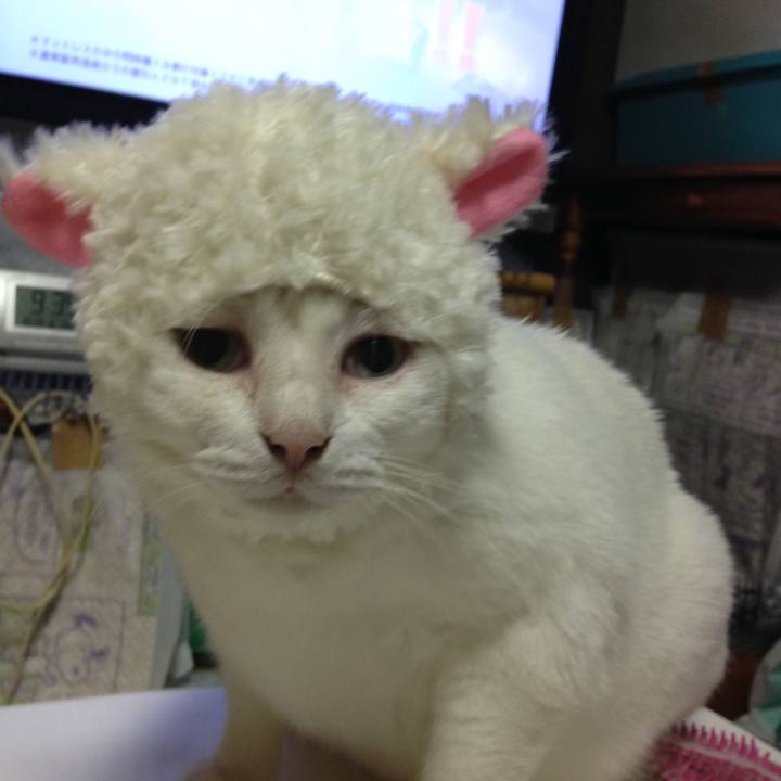 E3131861 b069 4616 bfb9 1ec6e20429f2