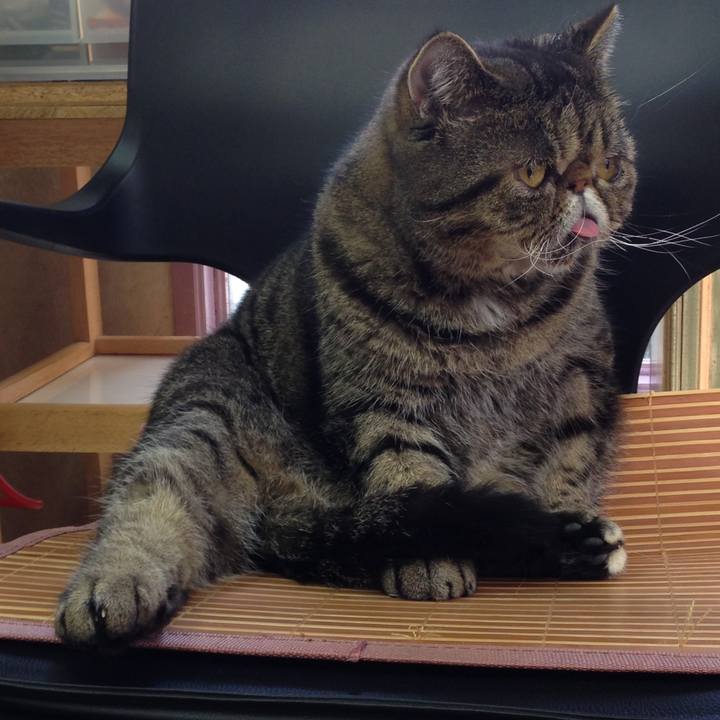 E3133f2f 2f5f 494f a2cb 3e0db6a45679